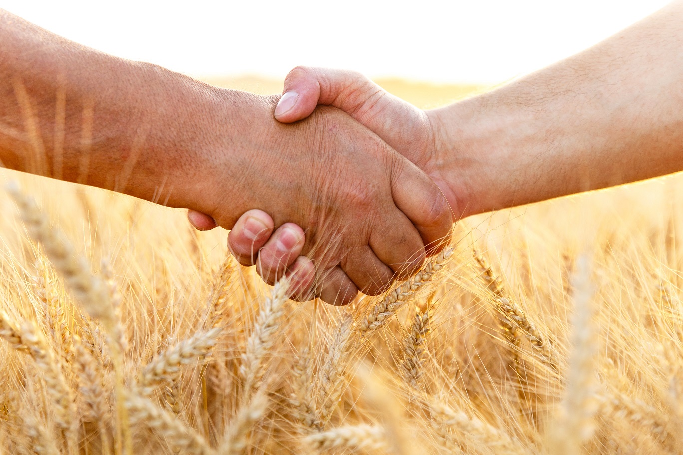 Cеминар «Основы осуществления деятельности сельскохозяйственных потребительских кооперативов»